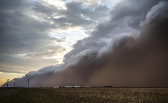 "Haboob", tempesta di sabbia